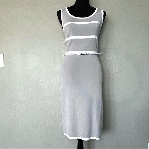 CARMEN Marc Valvo | Gray White Striped Sleeveless Sheath Dress ~Small - Picture 2 of 10